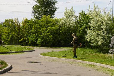 Bahçıvan güneşli bir günde çiçek açan bir parkın yakınındaki çimenleri buduyor.. 