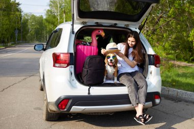 Genç bir kız ve bir av köpeği bir arabanın bagajında oturuyorlar. Denizde yaz tatili için bir bavulun yanında. Arabayla bir evcil hayvanla seyahat etmek. 