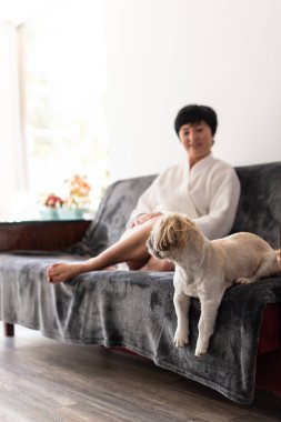 Bornozlu bir kadın kanepede oturuyor ve oynuyor, köpeğine sarılıyor. Esmer kadın küçük köpeğiyle evde dinleniyor. Hayvanlar için sevgi. Günaydın konsepti. Sabah rutini ve ev hayatı