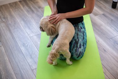 Esmer, orta yaşlı bir kadın evde köpekle egzersiz minderi üzerinde yoga yapıyor, akıl sağlığı, zihinsel denge, kendine zaman ayırıyor, stres atma, arabuluculuk, zihin dolgunluğu konsepti.