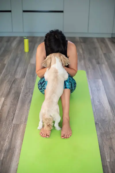 Brunette middle aged woman doing yoga meditation on exercise mat with dog at home, mental health, mental balance, time for herself, stress relief, mediation, mind fullness concept