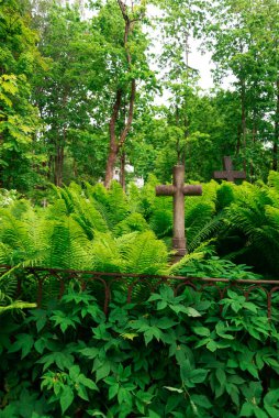 Ağaçlar ve eğreltiotları olan yemyeşil mezarlıkta taş kesişiyor..