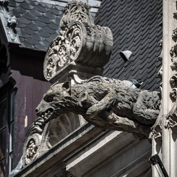 Medieval Stone Gargoyles Roof Palace Nancy Lorraine France — Stock Photo, Image