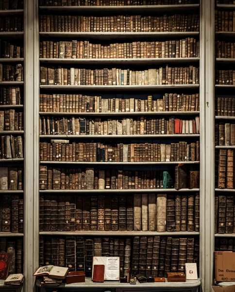 Antica Biblioteca Del Seminario Strasburgo Una Collezione Migliaia Libri Rari — Foto Stock