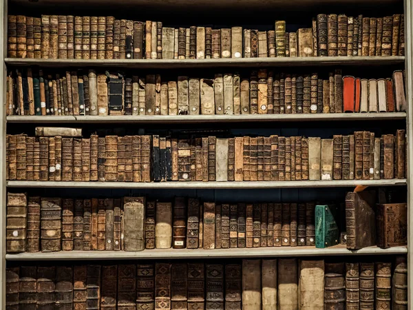 Oude Bibliotheek Van Het Seminarie Straatsburg Een Verzameling Van Duizenden — Stockfoto