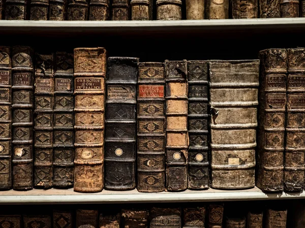 斯特拉斯堡神学院的古老图书馆 收藏了数千本珍贵的书籍和艺术品 — 图库照片