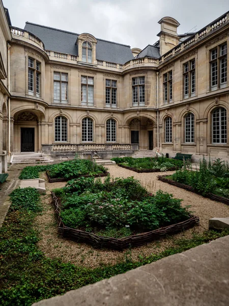Paris Teki Petit Palais Kesilmiş Labirentleri Olan Sıradan Bir Bahçe — Stok fotoğraf