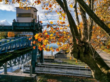 Sonbahar renkleri parlak ve suludur. Strasbourg 'un varoşları, Rhine. Fransa