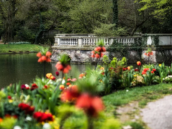 Цветущий Оранжерейный Парк Страсбурге Магнолии Тюльпаны Розы Двойное Воздействие Открытка — стоковое фото