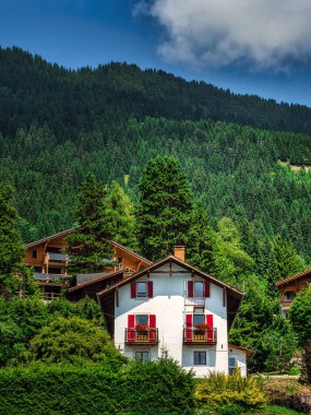 Alp İsviçre Köyü. Rahatlık ve sükunet. Güneşli bir yaz günü. Pencerelerde çiçekler var. Tahta kiremitler.