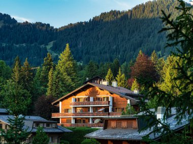 Alp İsviçre Köyü. Rahatlık ve sükunet. Güneşli bir yaz günü. Pencerelerde çiçekler var. Tahta kiremitler.