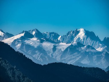 Alp İsviçre Köyü. Rahatlık ve sükunet. Güneşli bir yaz günü. Pencerelerde çiçekler var. Tahta kiremitler.
