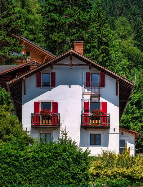Alp İsviçre Köyü. Rahatlık ve sükunet. Güneşli bir yaz günü. Pencerelerde çiçekler var. Tahta kiremitler.