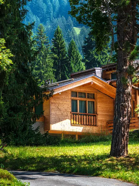 Alpine Swiss Village Comfort Tranquility Sunny Summer Day Flowers Windows Stockbild