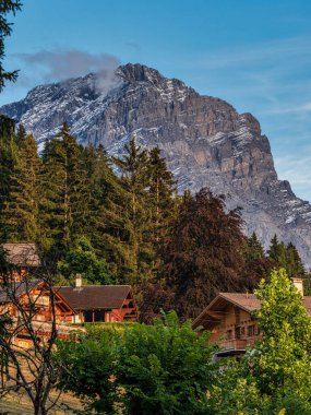 Alp İsviçre Köyü. Rahatlık ve sükunet. Güneşli bir yaz günü. Pencerelerde çiçekler var. Tahta kiremitler.