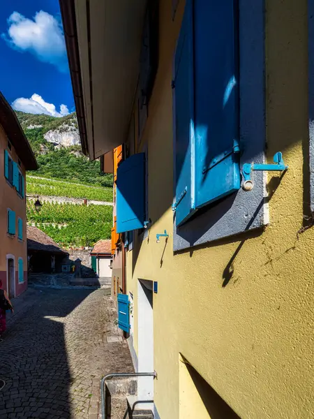 Alpine Swiss Village Comfort Tranquility Sunny Summer Day Flowers Windows Stock Photo