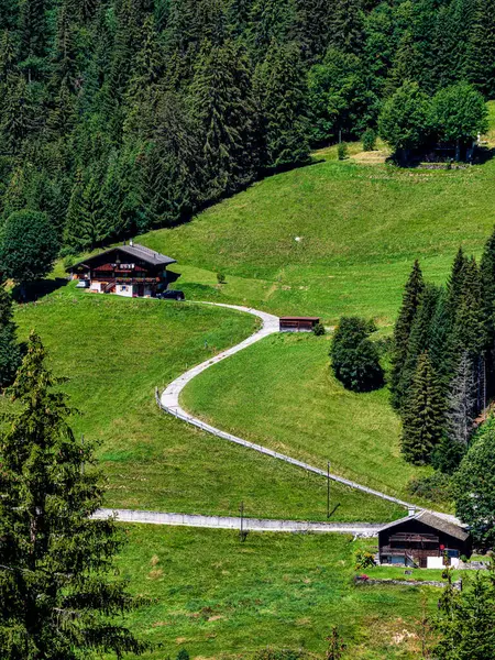 Alpina Schweiziska Byn Tröst Och Lugn Solig Sommardag Blommor Fönstren Stockfoto