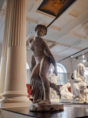 Amiens, Fransa 'daki Picardy Müzesi' nde mermer heykeller. Tam boy büstler ve heykeller.