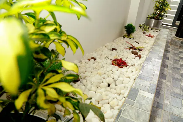 Canlı bitkiler ve beyaz taşlardan oluşan güzel bir kapalı bahçe huzurlu ve modern bir ortam yaratıyor. Doğanın ve çağdaş tasarımın kapalı alandaki karışımını takdir etmek için ideal..