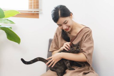 Hayvan sevici kavramı, genç Asyalı kadın koltukta oturup kedi kürkünü okşuyor ve kediyi kucaklıyor..