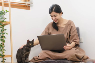 Hayvan sevici kavramı, genç Asyalı kadının dizüstü bilgisayarı kullanması ve oturma odasında kediyle oynaşması..