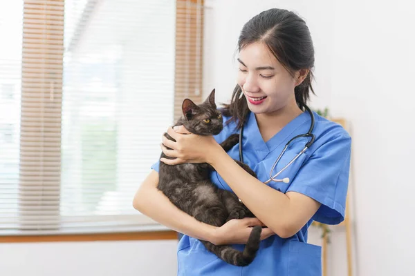 Pet Conceito Cuidados Fêmea Veterinária Jogando Abraçando Gato Bonito Depois — Fotografia de Stock