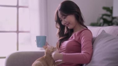 Ekoseli bir kadın sıcak çay içerken rahat bir kediyi okşarken evdeki kanepede oturan bir kediyi okşuyor. Yüksek kalite 4k görüntü