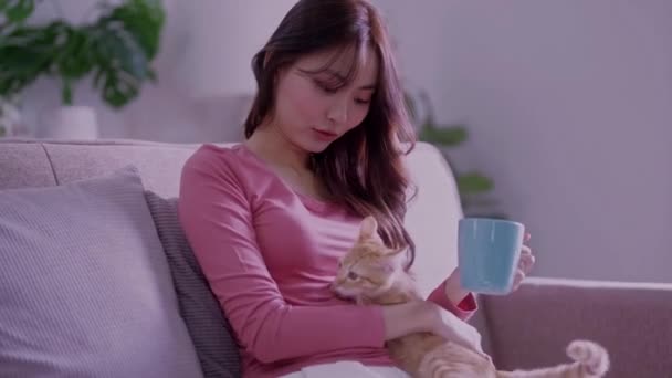 Wanita Dalam Kotak Kotak Minum Teh Panas Membelai Kucing Santai — Stok Video