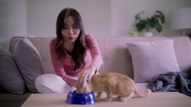 Smiling Happy Young Asian Woman Feeding Stroking Her Hungry Kitty — Stock Video