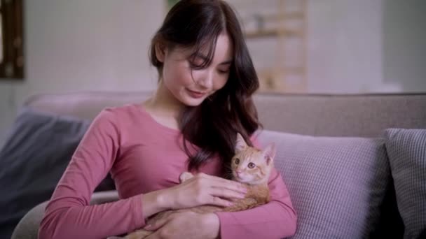Jovem Asiático Mulher Segurando Bonito Gatinho Gato Com Feliz Emoção — Vídeo de Stock