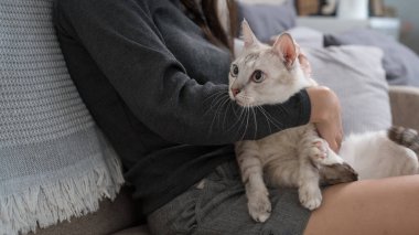 Kanepede oturan bir kadın, nazikçe kucağında beyaz bir kedi tutuyor. Mekan, yumuşak bir oturma odası.