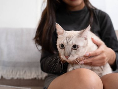 Kanepede oturan bir kadın, nazikçe kucağında beyaz bir kedi tutuyor. Mekan, yumuşak bir oturma odası.