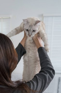 Oturma odasında, kaplumbağa kabuğu kedisini göğsüne yakın tutan bir kadın. Ortalık sakin ve sakin.