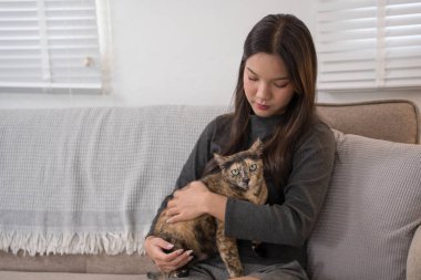  Kadın kanepenin yanında diz çökmüş, kanepede oturan kaplumbağa kabuğuyla şakalaşıyor. Oturma odası çok sıcak.