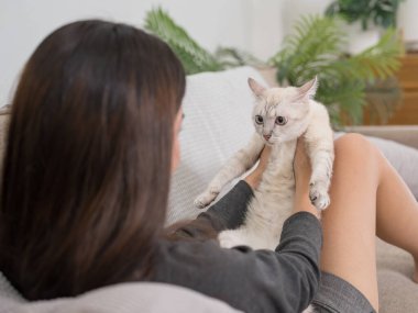 Beyaz kedisi bacaklarının üzerinde dinlenirken kanepeye yaslanan bir kadın. Ortam rahat ve rahat.