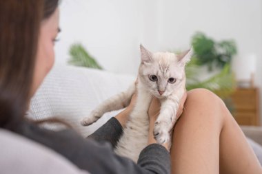 Beyaz kedisi bacaklarının üzerinde dinlenirken kanepeye yaslanan bir kadın. Ortam rahat ve rahat.