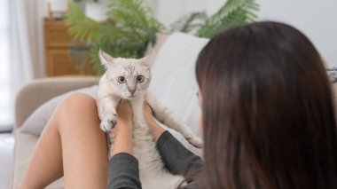 Beyaz kedisi bacaklarının üzerinde dinlenirken kanepeye yaslanan bir kadın. Ortam rahat ve rahat.