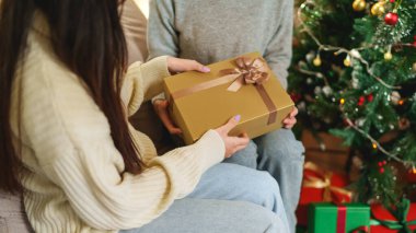 Noel ağacının yanında duran iki arkadaş, biri paketlenmiş bir hediye, etraflarındaki süslemeler ve ışıklarla mutlu bir tatil anını paylaşıyor..