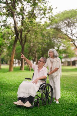 Yaşlı Asyalı çift park yürüyüşünden zevk alıyor. Tekerlekli sandalyeyi itiyor. Emeklilik sonrası refahı sağlandıktan sonra bakım desteğini gösteriyor.