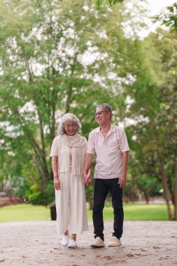 Neşeli Asyalı yaşlı çift parkta el ele yürürken sağlıklı emeklilik hayatları boyunca mutlu bir anı paylaşıyorlar.