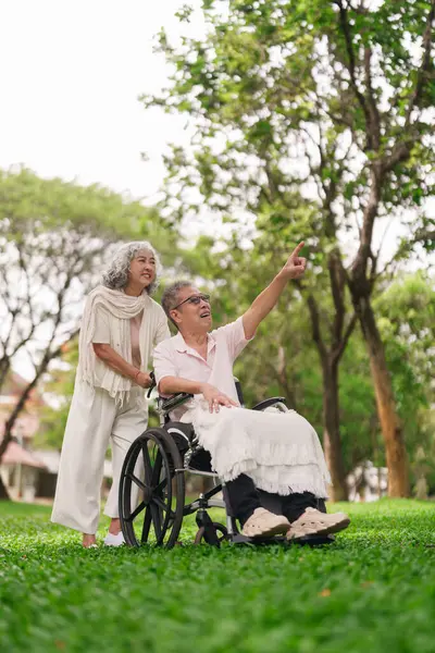 Asyalı yaşlı çift park ziyaretinin tadını çıkarıyor. Tekerlekli sandalyedeki yaşlı adam karısının rehberliğinde. Mutlu emeklilik sigortası..