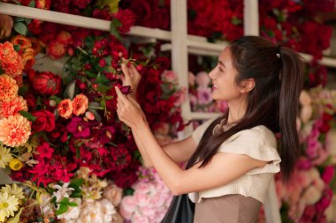 Asyalı genç kadın çeşitli çiçek koleksiyonlarından canlı çiçekler seçiyor. Büyüleyici bir çiçekçide renkli buketler keşfedin. Hediyeler için mükemmel.