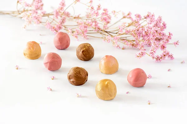 Colorful Chocolate Truffle Pralines White Backgound Stock Picture