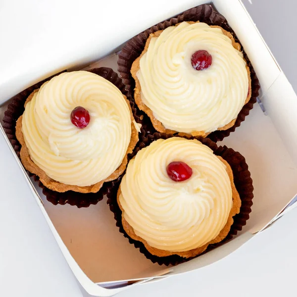 Cupcakes Minitårtor Med Grädde Pappkartong Stockbild