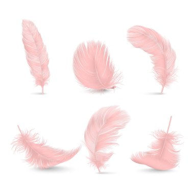 Vektör 3d Gerçekçi Pembe Pofuduk Tüylü Tüylü Beyaz Arkaplan 'da izole edildi. Flamingo, Angel ve Kuş Detaylı Tüylerinin Tasarım Şablonu. Hafiflik, Özgürlük Kavramı.