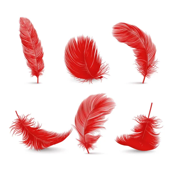 Vector Realistische Red Fluffy Feather Set Geïsoleerd Witte Achtergrond Ontwerp — Stockvector