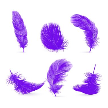Vektör 3d Mor Fluffy Feather Set Beyaz Arkaplanda izole edildi. Flamingo, Angel ve Kuş Detaylı Tüylerinin Tasarım Şablonu. Hafiflik, Özgürlük Kavramı.