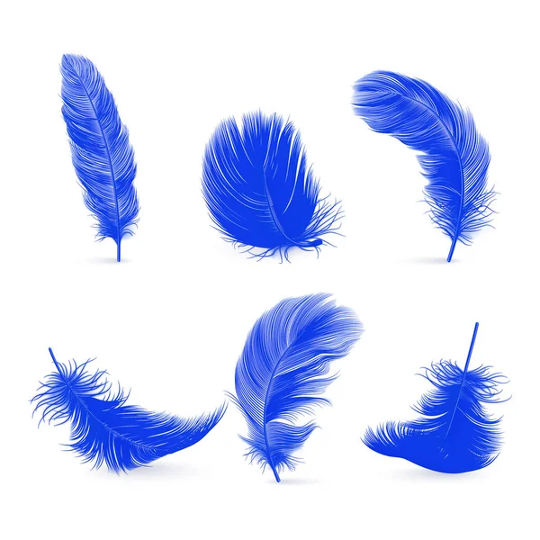Vector Realistische Blue Fluffy Feather Set Geïsoleerd Witte Achtergrond Ontwerp — Stockvector