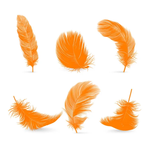 ベクトル3Dリアルなオレンジふわふわの羽毛セット白い背景に隔離されています フラミンゴ エンジェル 鳥の詳細な羽のデザインテンプレート 明るさ 自由の概念 — ストックベクタ