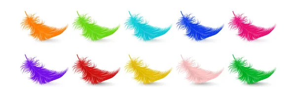 Vektör Gerçekçi Çok Renkli Fluffy Feather Set Beyaz Arkaplanda Izole — Stok Vektör